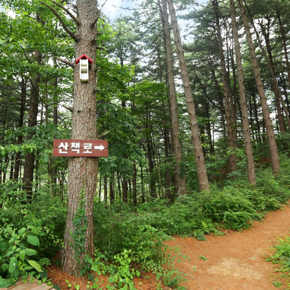 주변보기
