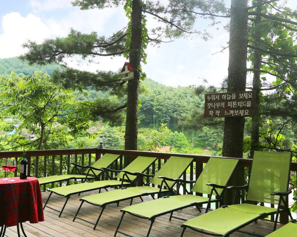 삼림욕장