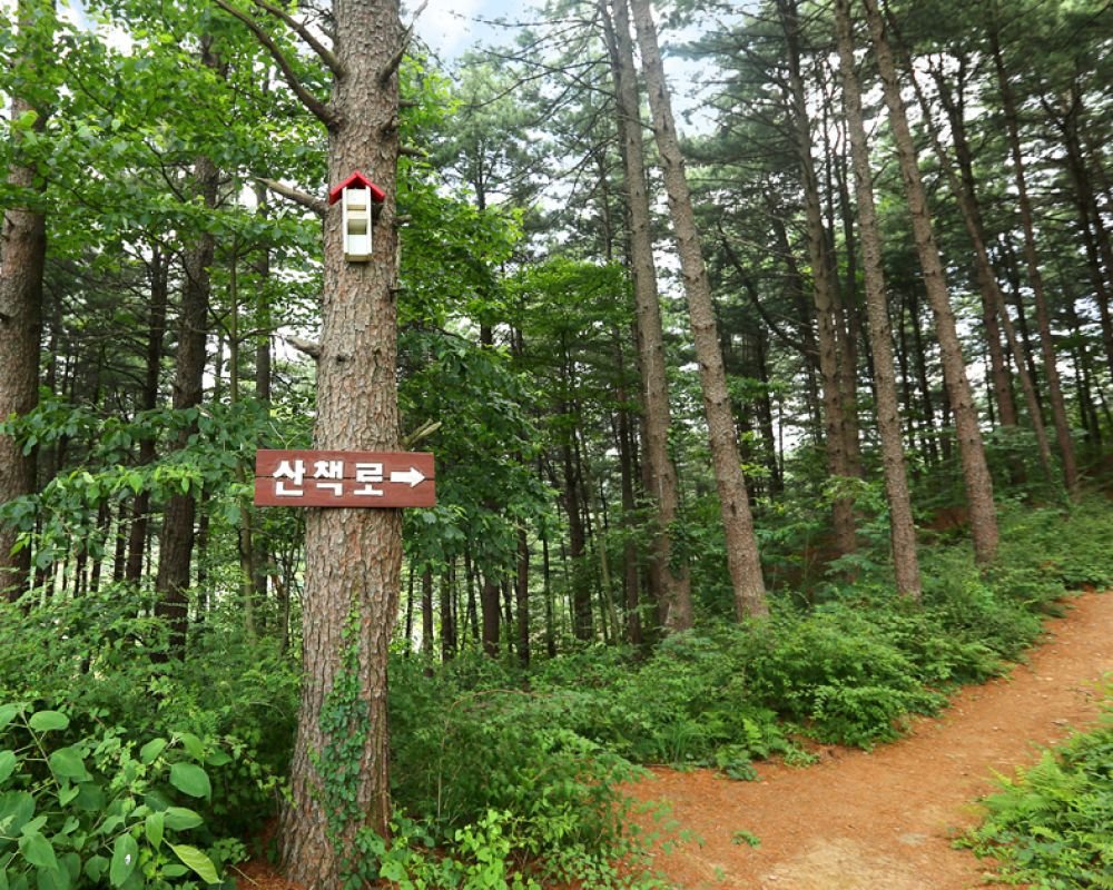 산책로